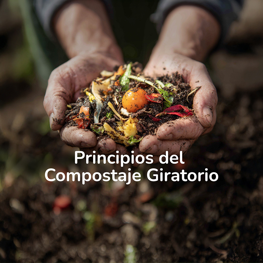 Foto_bucle_web3